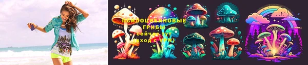 стаф Балахна