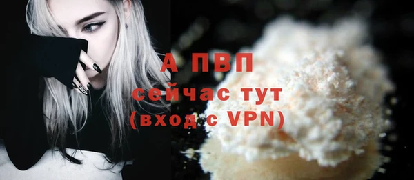 стаф Балахна