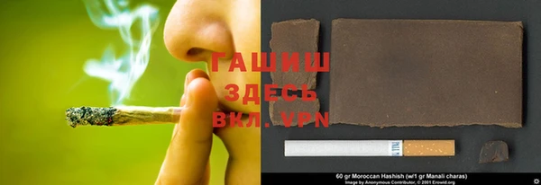стаф Балахна
