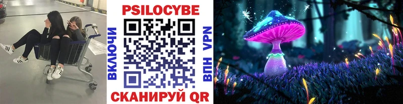 Псилоцибиновые грибы Cubensis  Белогорск 